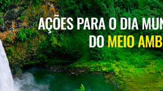Imagem sobre Ações para o Dia Mundial do Meio Ambiente: celebre a data na empresa ou em casa